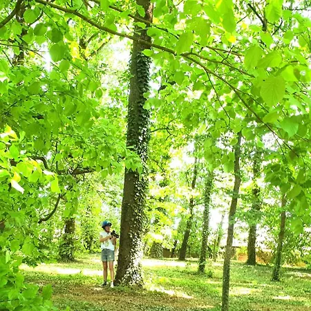 Chateau Goyencourt- Luynes - 50activ 1hparis Goyencourt